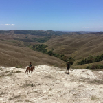 Pulau Sumba Jadi Titik Nol Penetapan Hari Keadilan Ekologi   Dunia