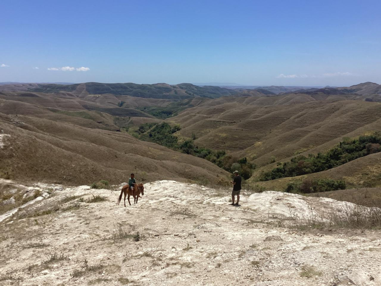 Pulau Sumba Jadi Titik Nol Penetapan Hari Keadilan Ekologi Dunia