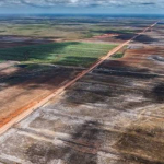 Masyarakat Adat Terancam  Program Biofuel