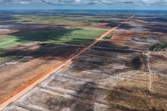Masyarakat Adat Terancam  Program Biofuel