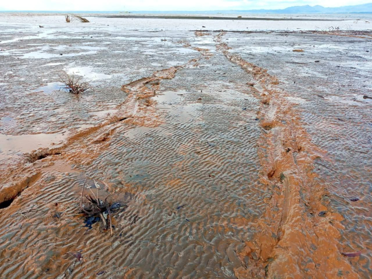 Akibat Tambang Nikel, Pesisir dan Sawah di Halmahera Timur Tercemar