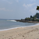 Ketika Warga Gemia Patani Utara Inisiasi Perdes Konservasi Penyu  