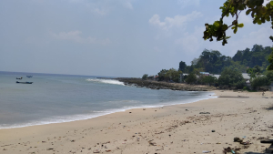 Ketika Warga Gemia Patani Utara Inisiasi Perdes Konservasi Penyu  