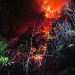 Dua Juta Hektar Hutan dan Lahan Terbakar, di Malut Bisa Capai 5000 Hektar