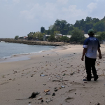 Lindungi Penyu, Aksi Konservasi Berbasis Masyarakat (4) Habis