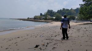 Lindungi Penyu, Aksi Konservasi Berbasis Masyarakat (4) Habis